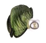 Knoflík 10mm - perla k našití POLIN
